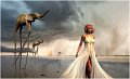 FAVORITE JURY 1 - FANTASY 945 - MARTIN HERVE - france